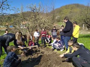 Школски пројекат „Наша нана – од семена до чаја“ – друга фаза